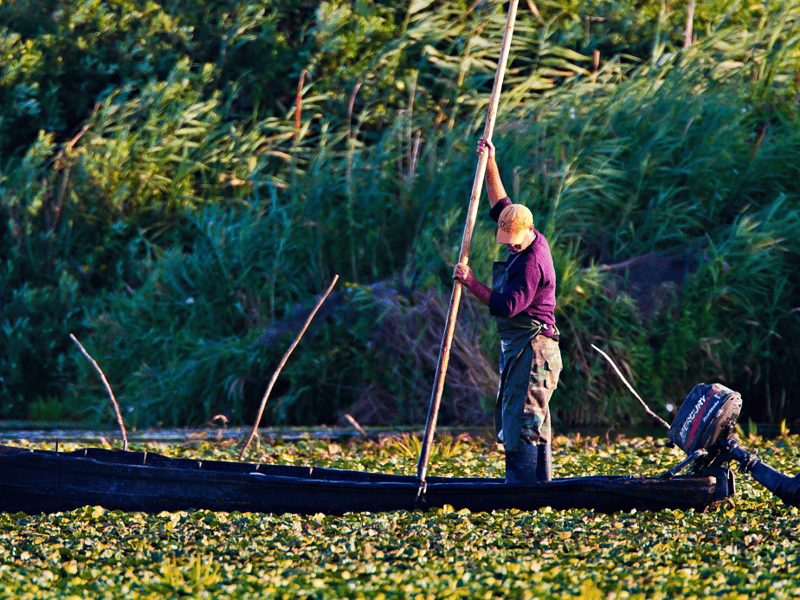 Delta Dunării sărbătorește Ziua Mondială a Zonelor Umede. Legătura dintre oameni și natură, în prim-plan
