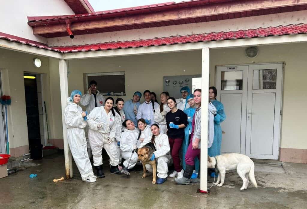 Un doctor din Tulcea a transformat o clădire abandonată într-o fermă funcțională: elevii fac de serviciu, vând ouă și reinvestesc banii. Școala care îi învață viața reală