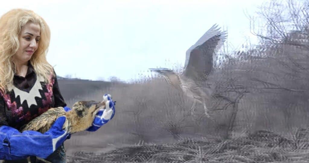 fotor 2026 02 05 15 23 06 1