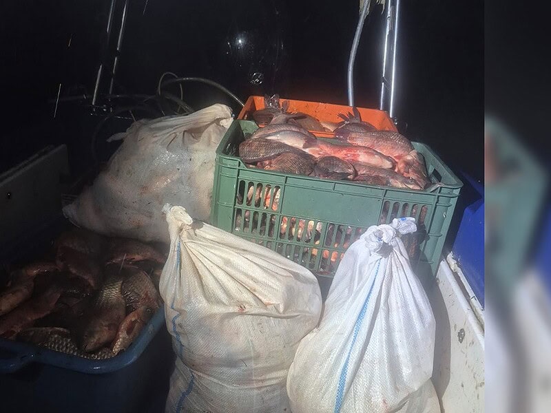 Plase de peste 1,7 kilometri și 350 kg de pește, descoperite în Delta Dunării. Anchetă de amploare pentru braconaj piscicol