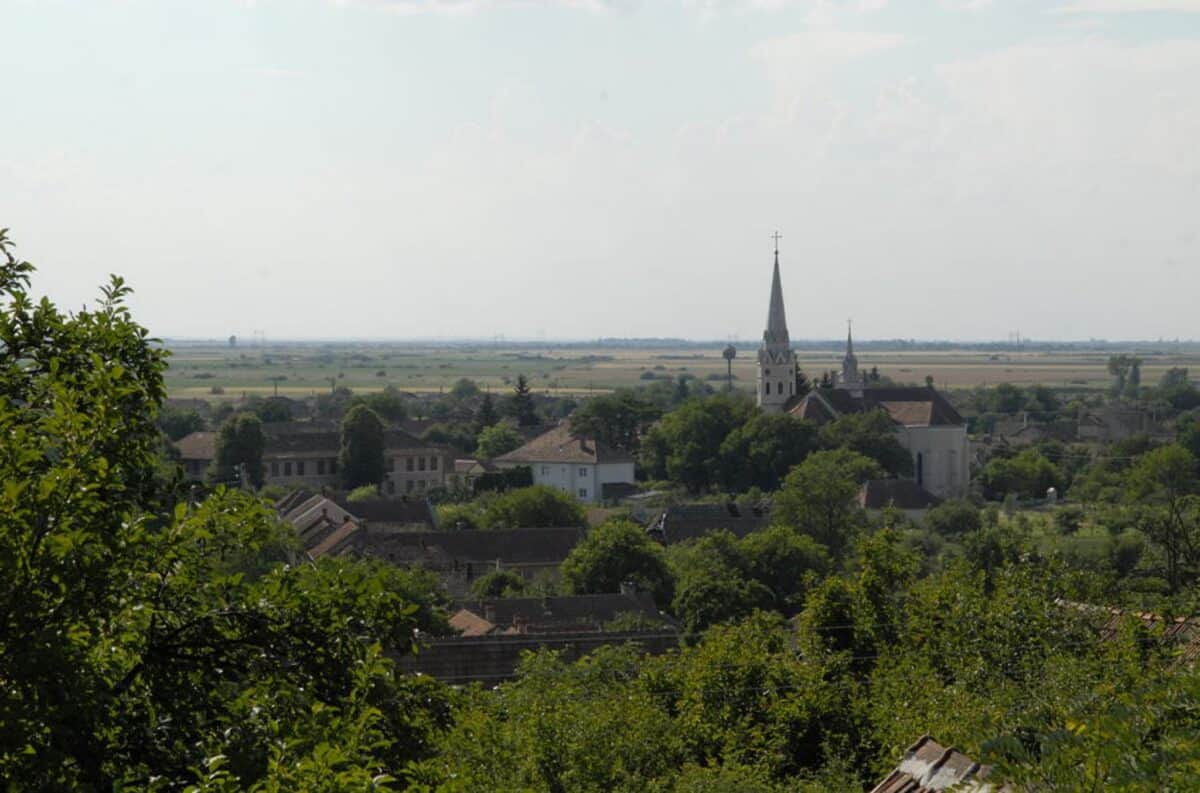 Primarii din Satu Mare propun comasarea comunelor pentru reducerea cheltuielilor