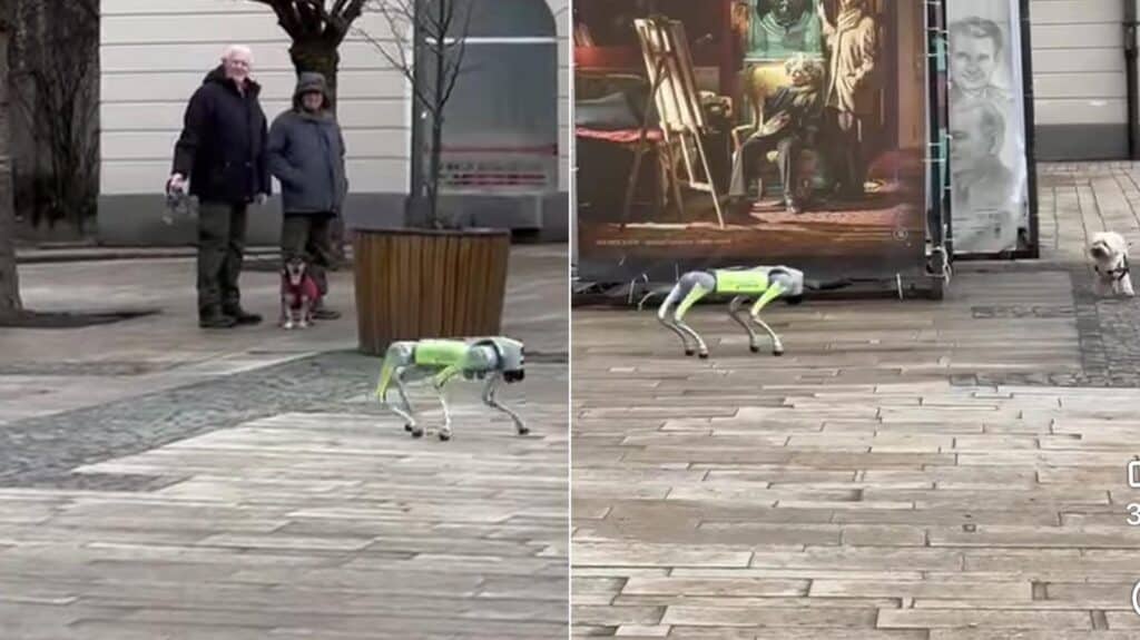 Roboți patrulează pe străzile din Târgu Mureș pentru a promova colectarea selectivă a gunoiului