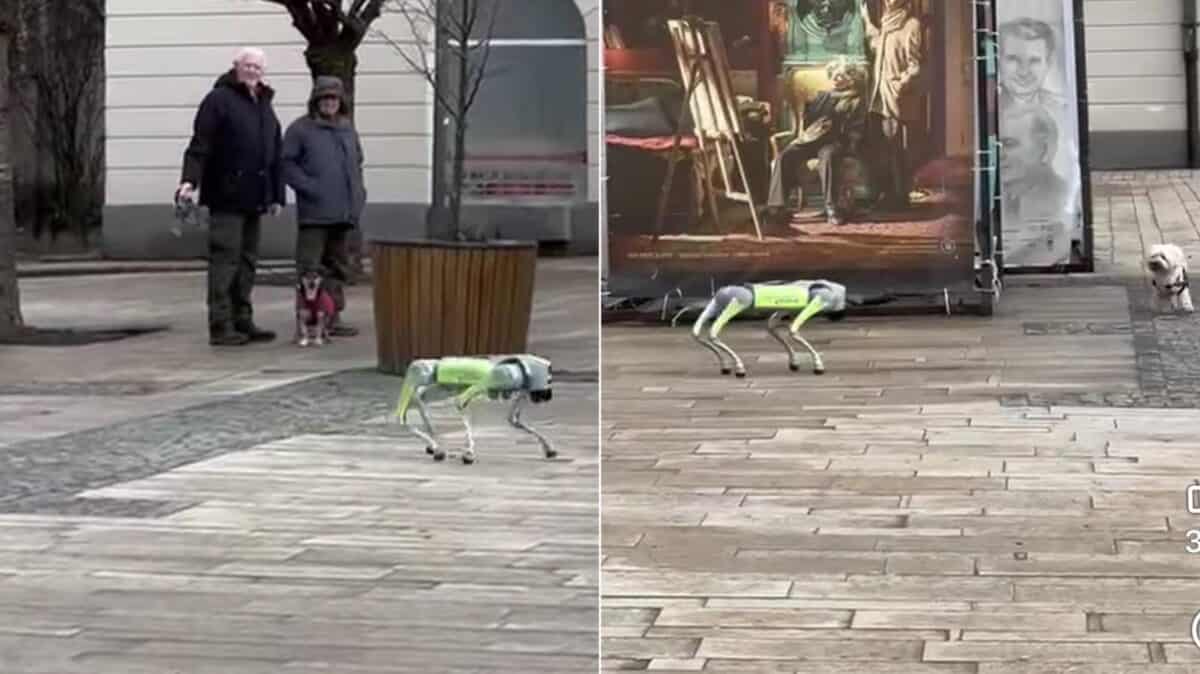 Roboți patrulează pe străzile din Târgu Mureș pentru a promova colectarea selectivă a gunoiului