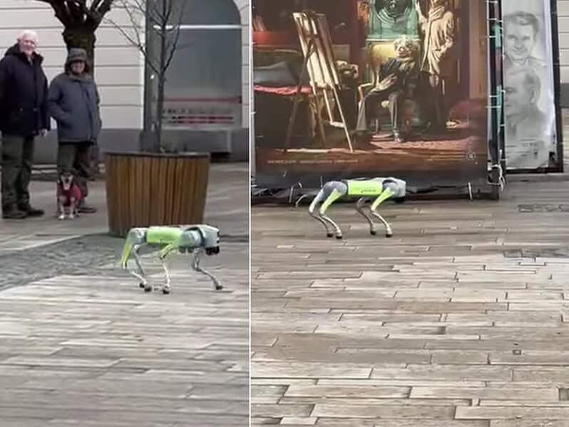 Roboți patrulează pe străzile din Târgu Mureș pentru a promova colectarea selectivă a gunoiului