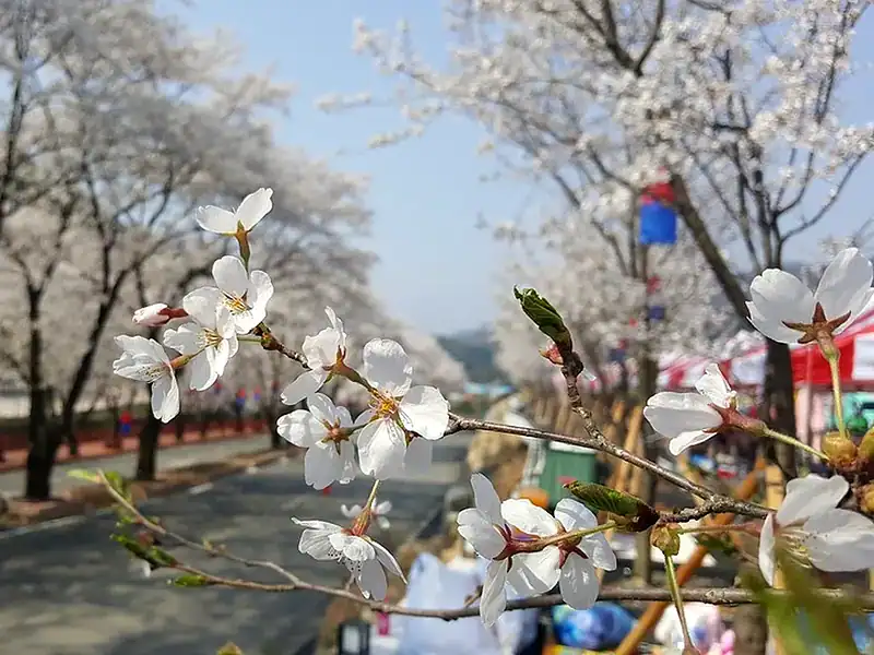 Vremea se încălzește în martie cu temperaturi peste normal și precipitații deficitare
