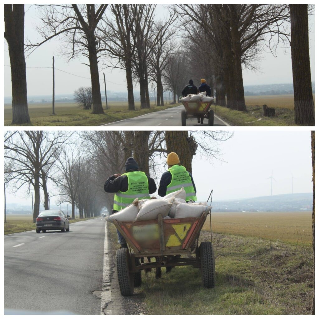 646376655 122109372867242325 1422831880745421404 n