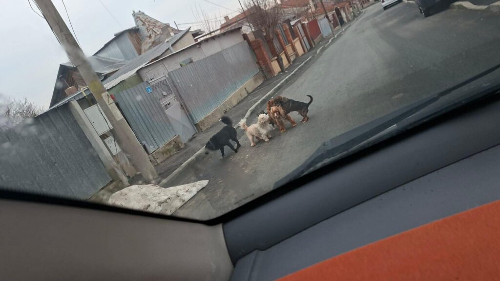 648300815 4363423293946002 9025022479030813574 n