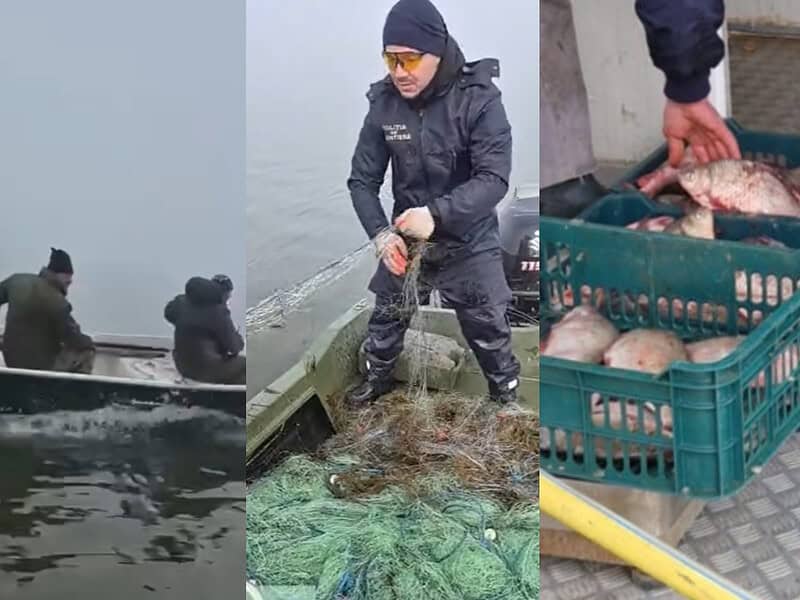 Delta Dunării, la 13 ani distanță: de la 28 de tone confiscate la doar 8 tone de pește ridicate de la braconieri