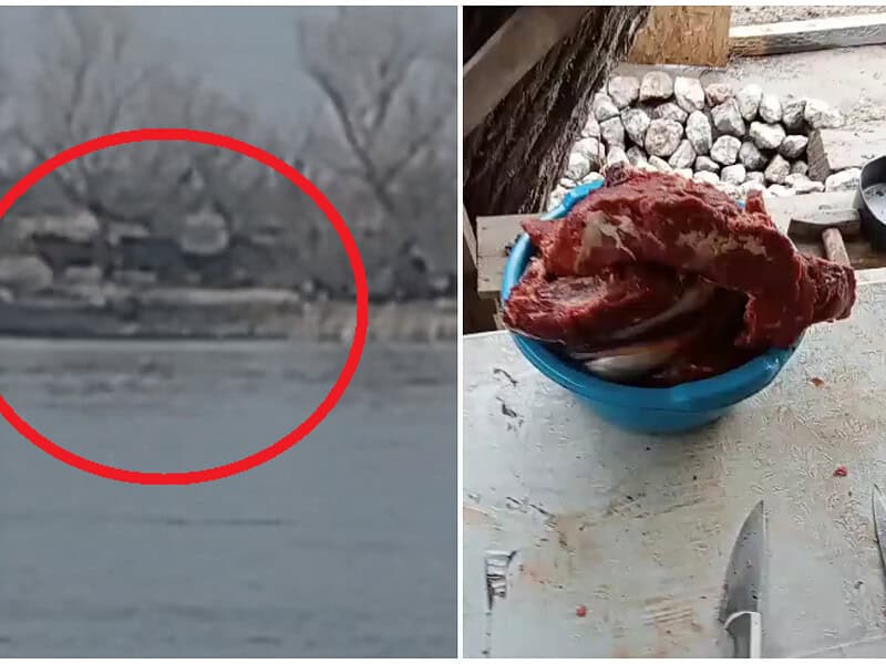 Scandal în Delta Dunării: un localnic susține că animalele îi sunt vânate și ucise pentru a fi vândute / video