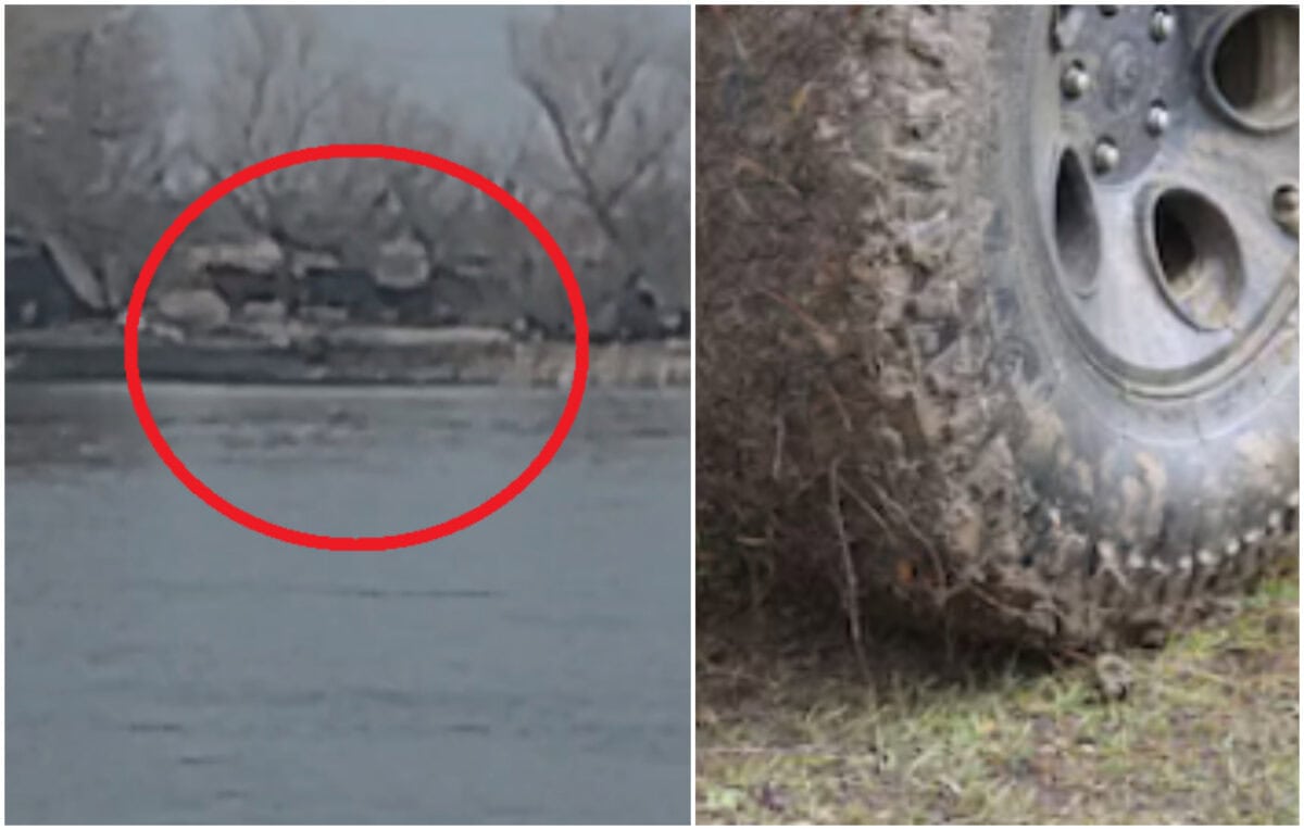 Scandal în Delta Dunării (II): dosarul animalelor vânate și ucise a stagnat aproape trei ani, instanța impune termen-limită