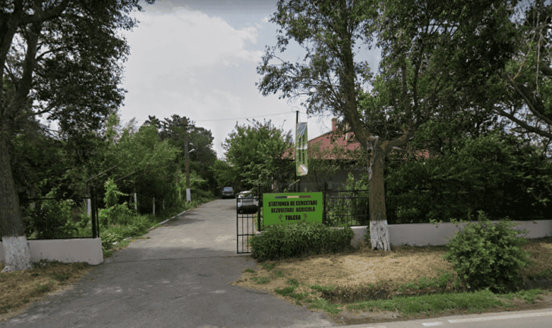 angajare 6 posturi