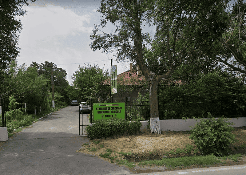 angajare 6 posturi