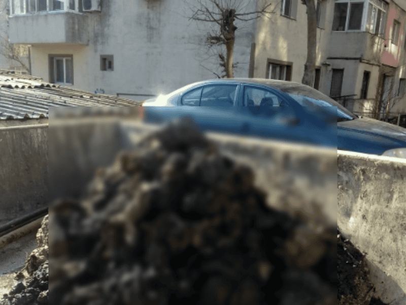 Greu de privit! Ce au scos muncitorii din canalizarea unui cartier din Tulcea / foto