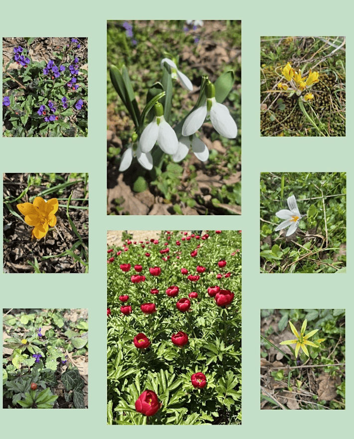 image 3 image 3