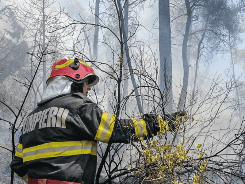 incendiu vegetatie