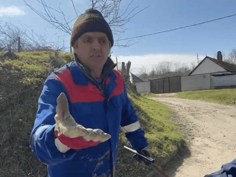 localnic Parches