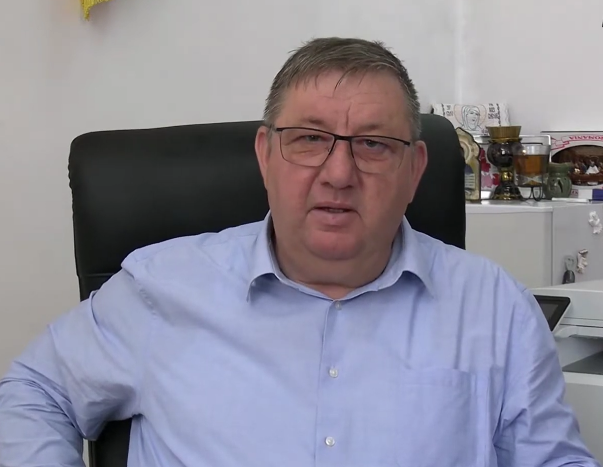 naiman marian frecatei