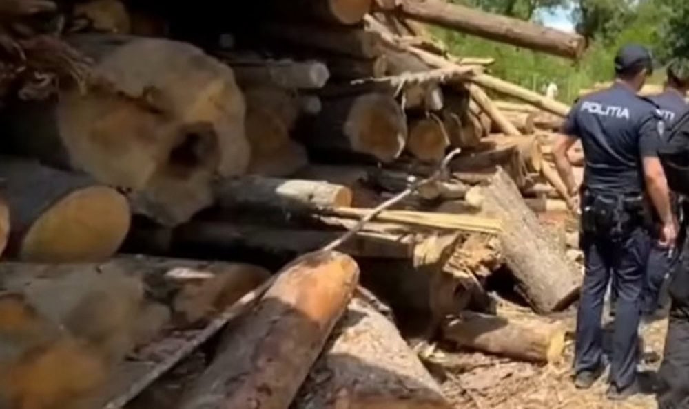 Transport ilegal de lemne depistat la Văcăreni. Poliția i-a confiscat marfa și l-a amendat cu 2.000 de lei