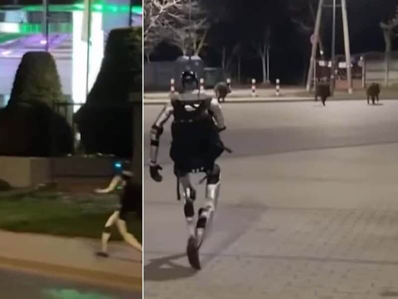 Robot umanoid alungă mistreți în Varșovia și stârnește dezbateri despre tehnologie în orașe