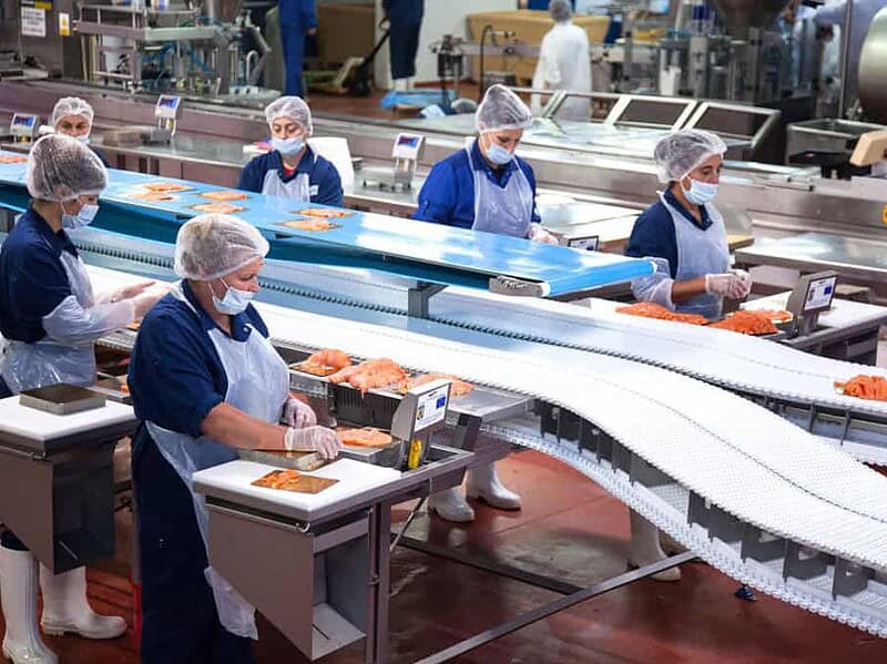 România importă de zece ori mai mult pește decât exportă în criza sectorului piscicol