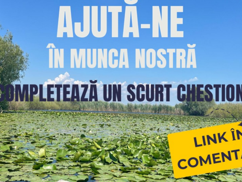 sondaj pasari 1