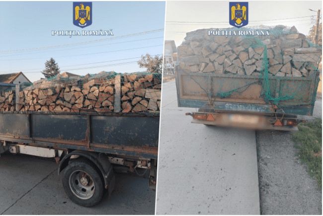 Transport ilegal de lemn, descoperit în trafic la Măcin. Diferențe suspecte în acte și marfă confiscată