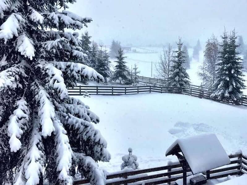 Val de frig aduce ninsori și temperaturi negative severe în România