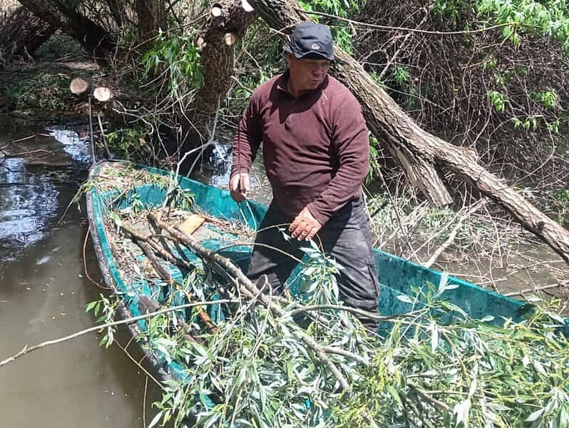 Canalele din Delta Dunării, curățate de copaci căzuți și deșeuri. Acțiuni ample de ecologizare în mai multe zone din rezervație / foto