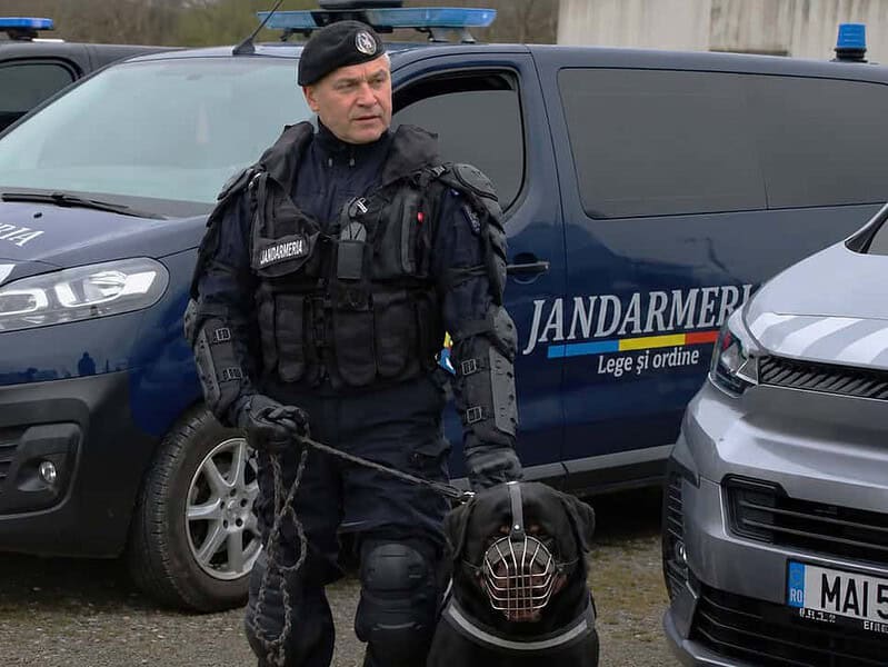 jandarm tulcea