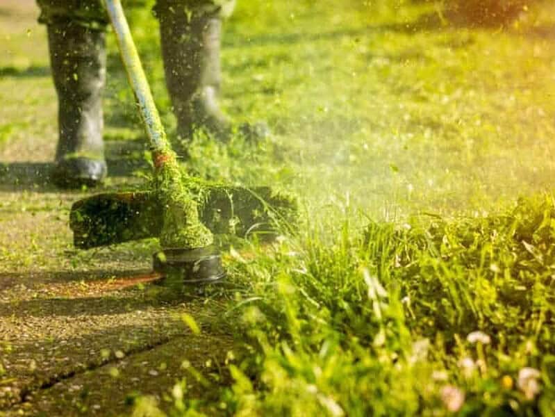 Acțiune de întreținere în cartierul Dallas. Spațiile verzi au fost curățate și cosite