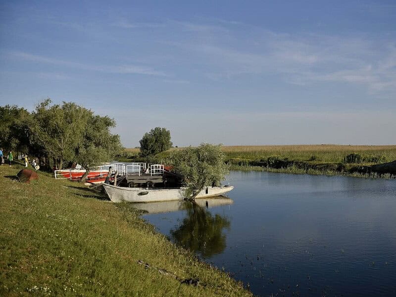 barci pe delta dunarii