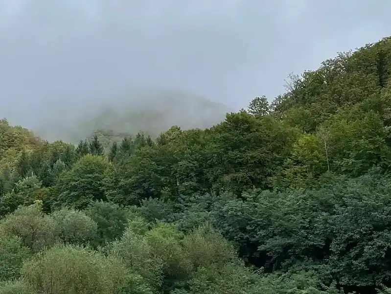 Cod galben de furtuni în zonele montane miercuri 15 iulie
