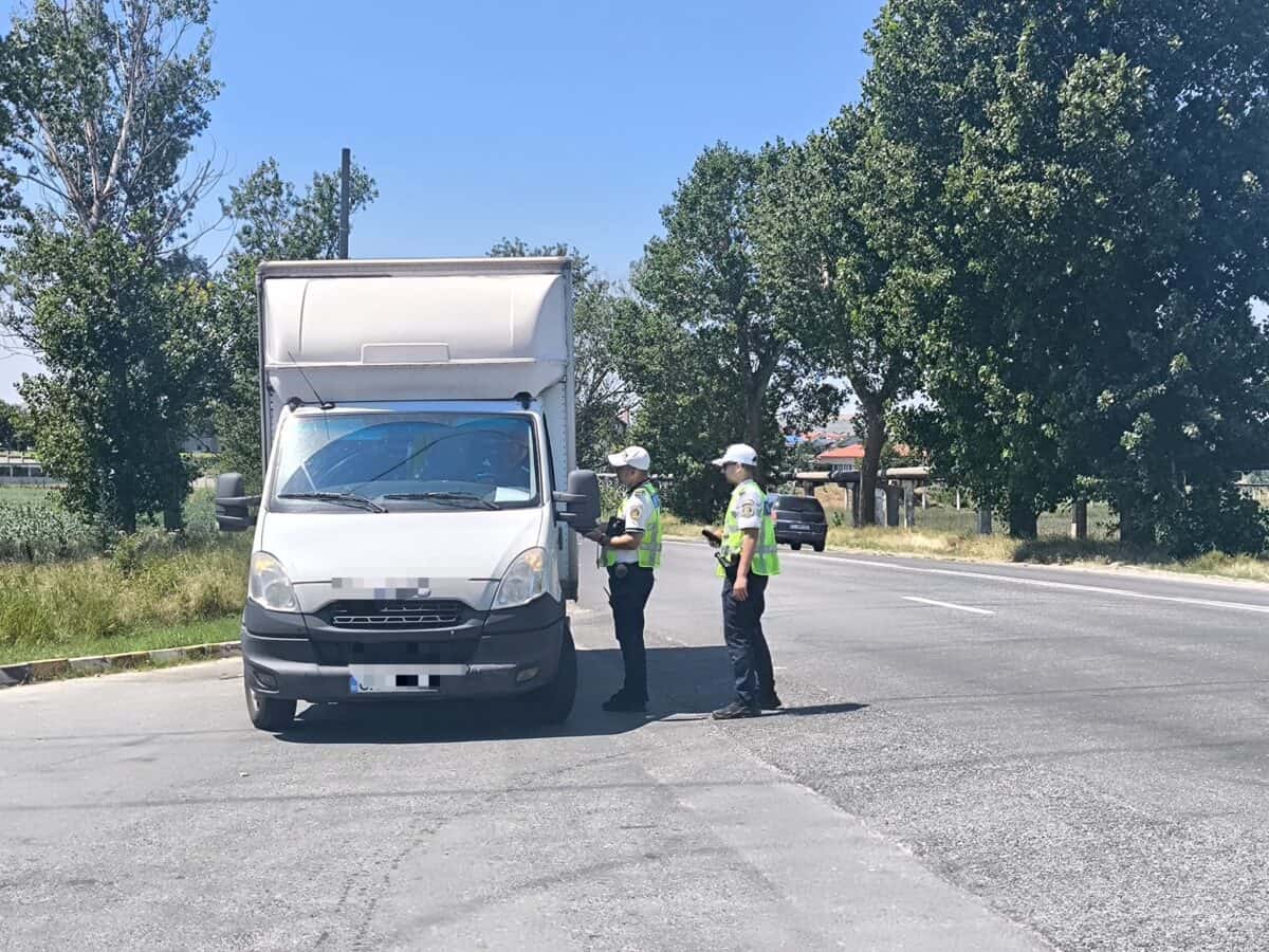 Razie la Baia: amenzi pentru alcool, trafic și transport ilegal de lemne