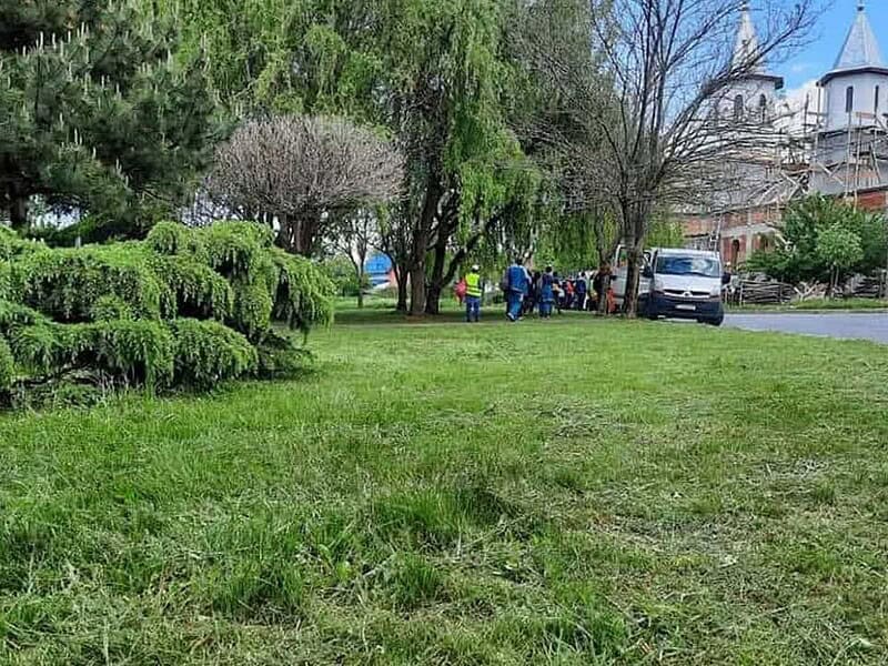 Atenție unde parcați! Se cosește iarba în Cartierul Lotizare din Tulcea / foto