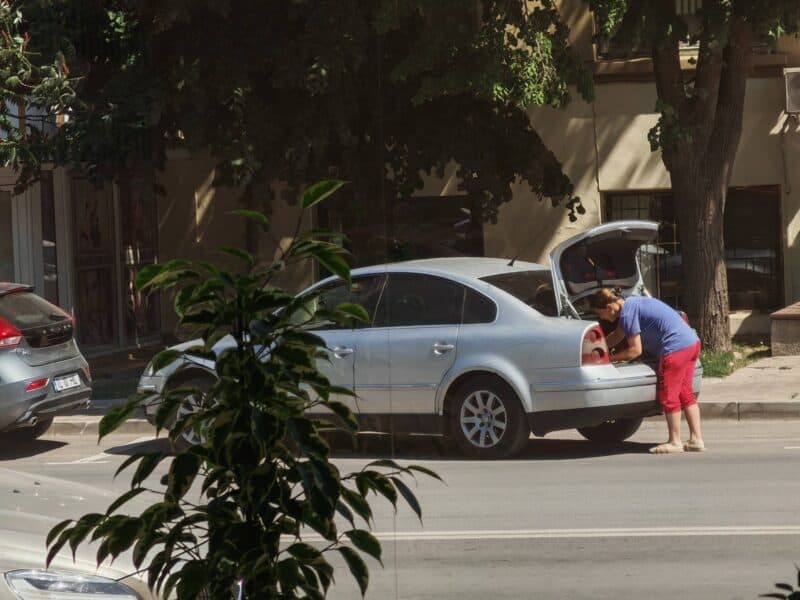 Țeapă la Tulcea: Falși angajați Servicii Publice vând „magnolii portocalii” / foto