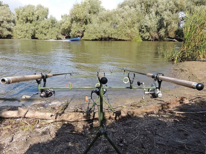 Reguli stricte pentru pescuit în Delta Dunării. Cât pește ai voie să iei acasă