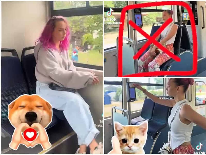 O tânără din Tulcea, personajul unei campanii inedite pe TikTok: Yeliz predă bunele maniere în autobuze