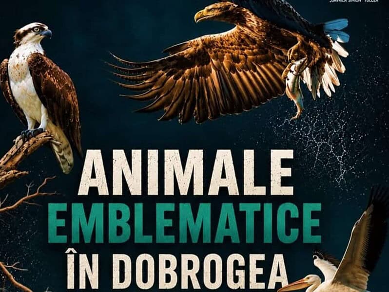 Șerpi, vulturi și pelicani, într-o expoziție specială la Tulcea. Unde poate fi vizitată