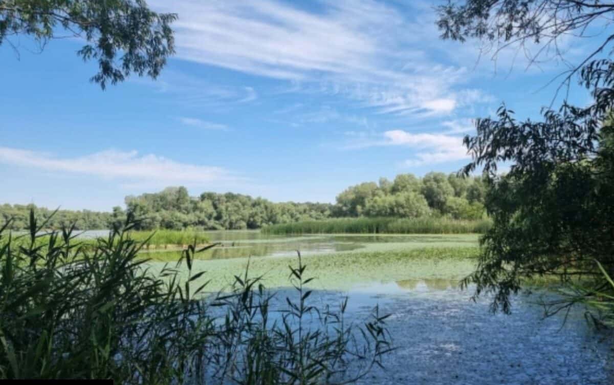 ARBDD avizează două decolmatări în Delta cu ape mici. Când intră utilajele?