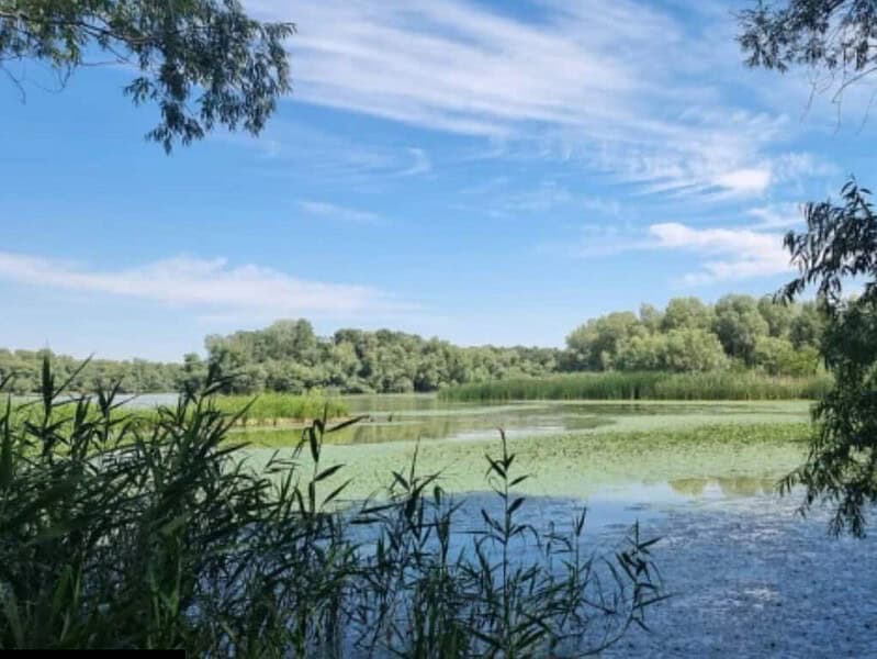 ARBDD avizează două decolmatări în Delta cu ape mici. Când intră utilajele?