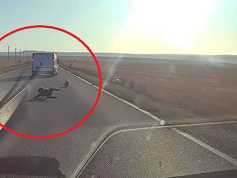 Video șocant în Tulcea: Un copil, la un pas de tragedie după ce a CĂZUT dintr-o mașină în mers