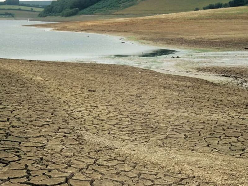 Crescătorii de crap din România, afectați puternic de secetă și valuri de căldură