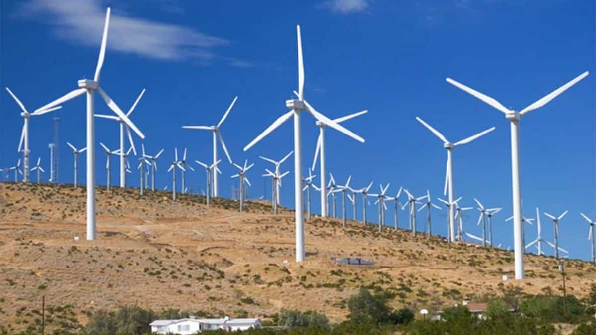 Eolienele salvează România la vârful de consum, cu peste 2.400 MW produși în Dobrogea