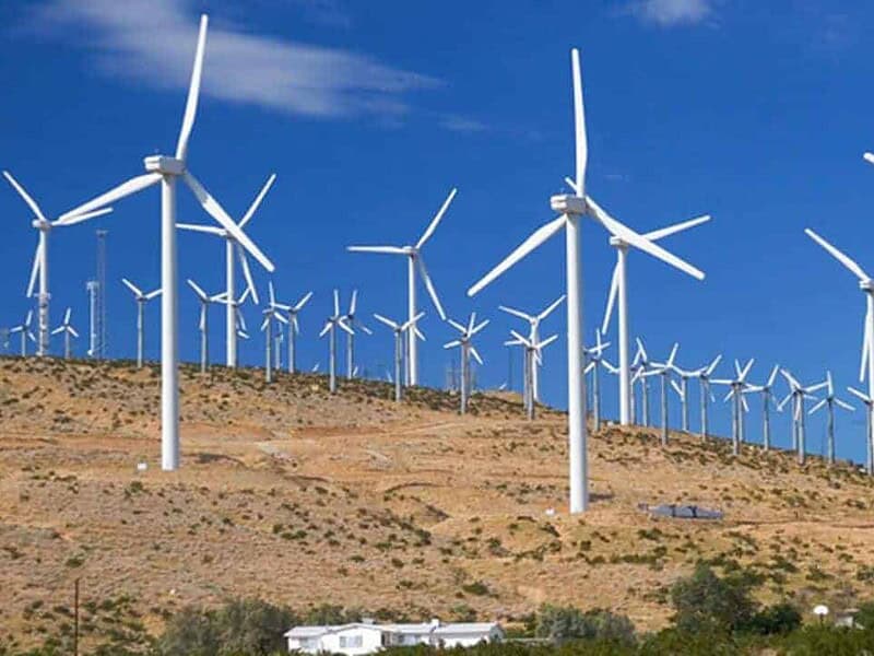 Eolienele salvează România la vârful de consum, cu peste 2.400 MW produși în Dobrogea
