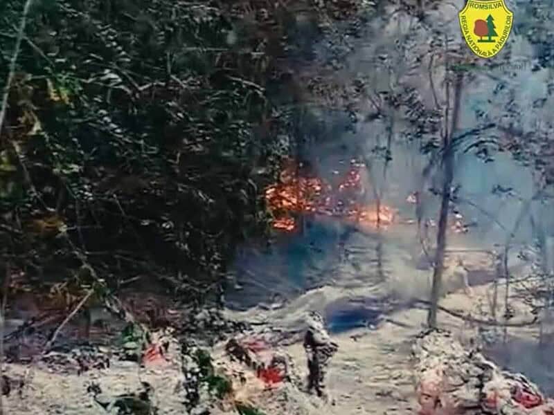 Incendiu puternic lângă Plauru, în Tulcea. O dronă ar fi explodat și ar fi aprins pădurea / video