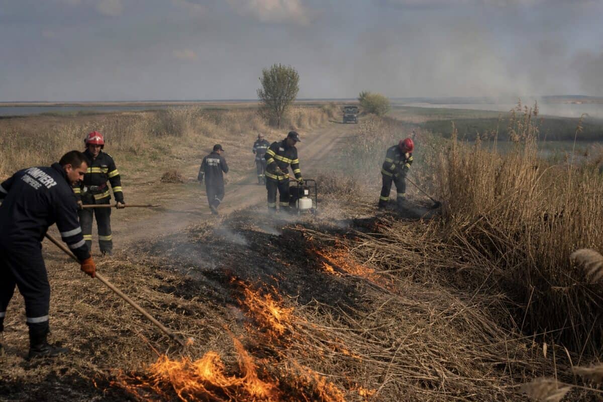 Pompieri sting un incendiu de vegetație uscată pe marginea unui drum, lângă apă