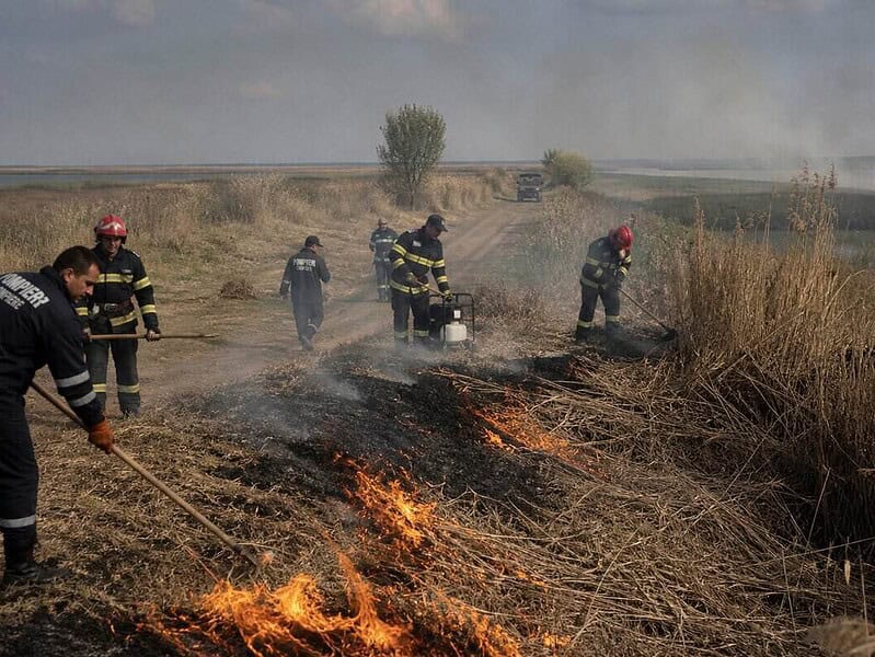 Pompieri sting un incendiu de vegetație uscată pe marginea unui drum, lângă apă