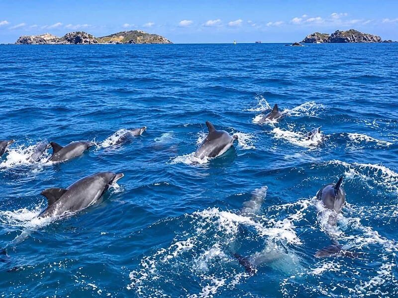 Oceanele lumii au atins temperaturi record în iulie, alimentate de fenomenul El Niño