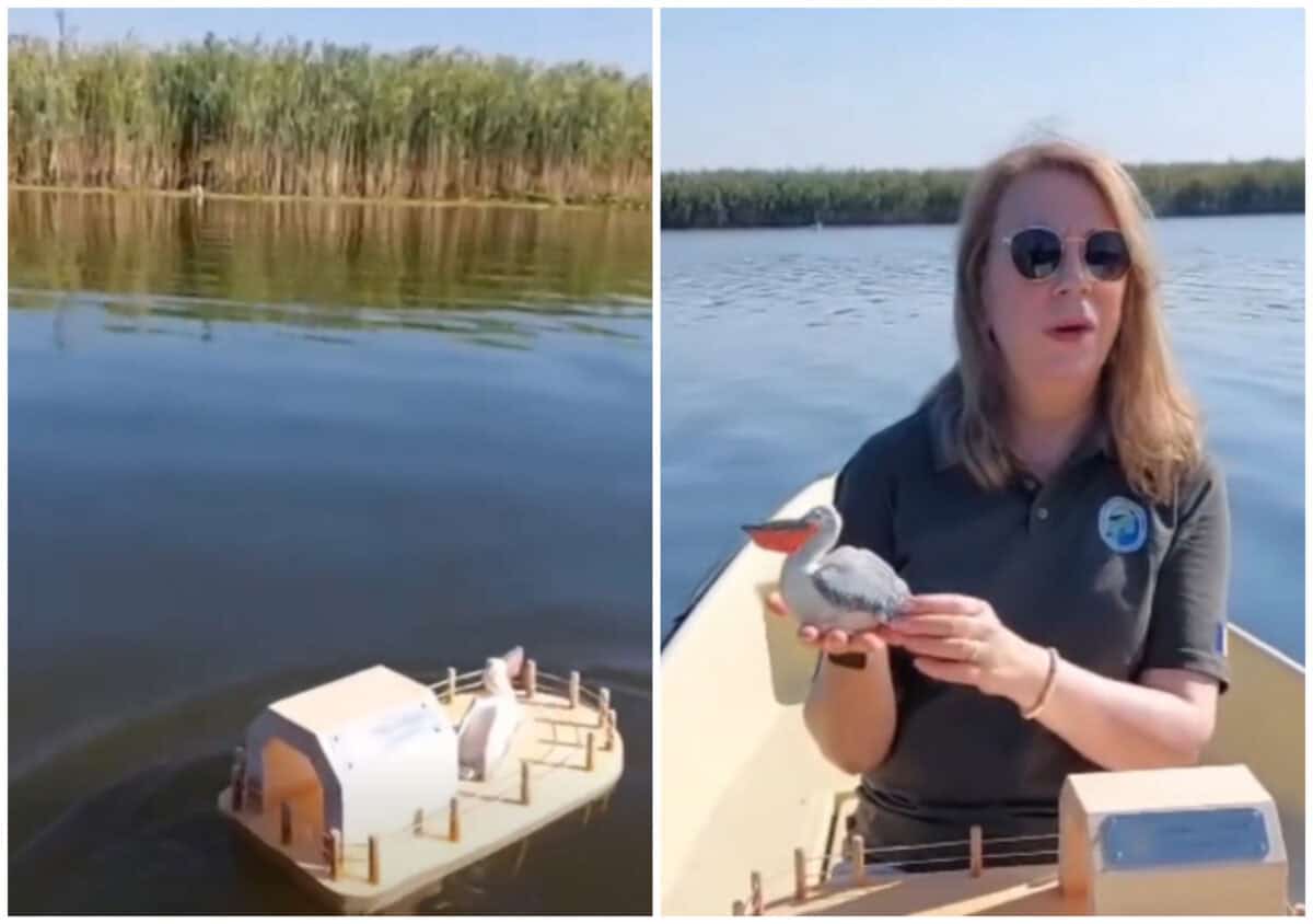 Din Germania până în Delta Dunării. „Arca” care a traversat 10 țări și peste 2.700 de kilometri / video