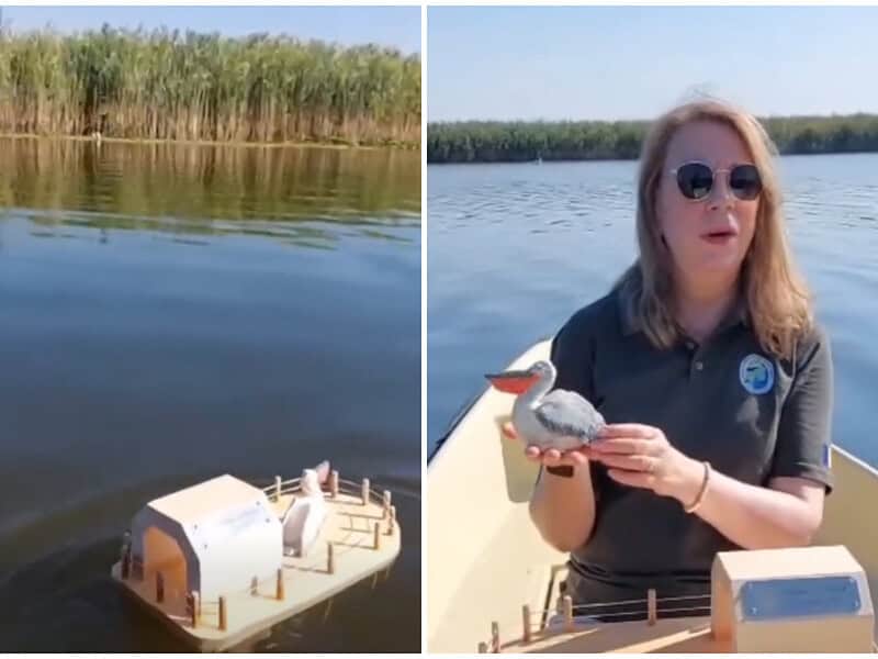 Din Germania până în Delta Dunării. „Arca” care a traversat 10 țări și peste 2.700 de kilometri / video